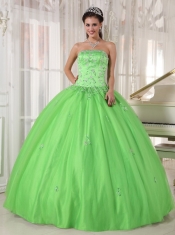 Spring Green Ball Gown Strapless Floor-length Taffeta and Tulle Appliques Quinceanera Dress
