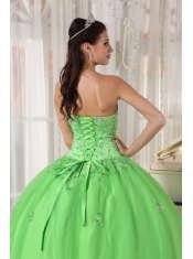 Spring Green Ball Gown Strapless Floor-length Taffeta and Tulle Appliques Quinceanera Dress