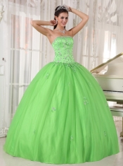 Spring Green Ball Gown Strapless Floor-length Taffeta and Tulle Appliques Quinceanera Dress