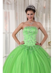 Spring Green Ball Gown Strapless Floor-length Taffeta and Tulle Appliques Quinceanera Dress