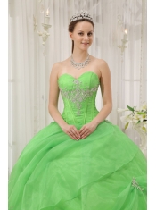 Spring Green Ball Gown Sweetheart Floor-length Organza Appliques Quinceanera Dress