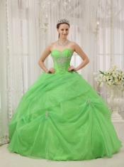 Spring Green Ball Gown Sweetheart Floor-length Organza Appliques Quinceanera Dress
