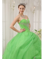 Spring Green Ball Gown Sweetheart Floor-length Organza Appliques Quinceanera Dress