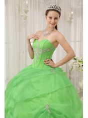 Spring Green Ball Gown Sweetheart Floor-length Organza Appliques Quinceanera Dress