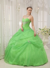 Spring Green Ball Gown Sweetheart Floor-length Organza Appliques Quinceanera Dress