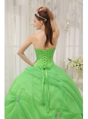 Spring Green Ball Gown Sweetheart Floor-length Organza Appliques Quinceanera Dress