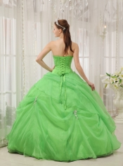 Spring Green Ball Gown Sweetheart Floor-length Organza Appliques Quinceanera Dress