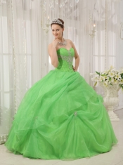 Spring Green Ball Gown Sweetheart Floor-length Organza Appliques Quinceanera Dress