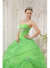 Spring Green Ball Gown Sweetheart Floor-length Organza Appliques Quinceanera Dress