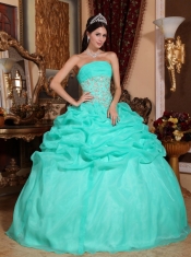 Turquoise Ball Gown Strapless Floor-length Organza Appliques  Quinceanera Dress