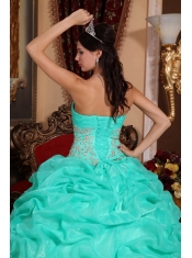 Turquoise Ball Gown Strapless Floor-length Organza Appliques  Quinceanera Dress