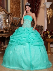 Turquoise Ball Gown Strapless Floor-length Organza Appliques  Quinceanera Dress