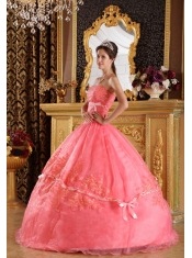 Watermelon Ball Gown Strapless Appliques Organza Quinceanera Dress