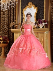 Watermelon Ball Gown Strapless Appliques Organza Quinceanera Dress