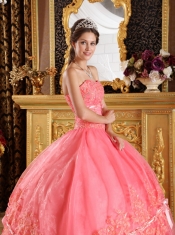 Watermelon Ball Gown Strapless Appliques Organza Quinceanera Dress