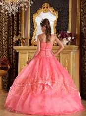 Watermelon Ball Gown Strapless Appliques Organza Quinceanera Dress