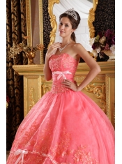 Watermelon Ball Gown Strapless Appliques Organza Quinceanera Dress