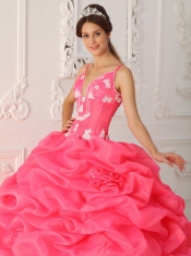 Watermelon Red Ball Gown Straps Floor-length Taffeta and Organza Appliques Quinceanera Dress