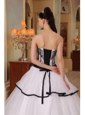White Ball Gown Strapless Floor-length Organza Embroidery Quinceanera Dress