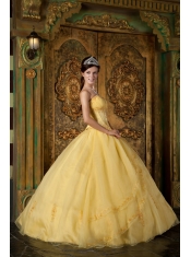 Yellow Ball Gown Strapless Floor-length Appliques Organza Quinceanera Dress