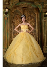 Yellow Ball Gown Strapless Floor-length Appliques Organza Quinceanera Dress
