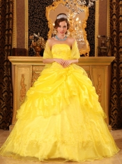 Yellow Ball Gown Strapless Floor-length Organza Appliques Quinceanera Dress