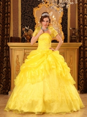 Yellow Ball Gown Strapless Floor-length Organza Appliques Quinceanera Dress