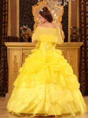 Yellow Ball Gown Strapless Floor-length Organza Appliques Quinceanera Dress