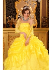 Yellow Ball Gown Strapless Floor-length Organza Appliques Quinceanera Dress