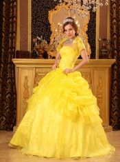 Yellow Ball Gown Strapless Floor-length Organza Appliques Quinceanera Dress