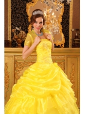 Yellow Ball Gown Strapless Floor-length Organza Appliques Quinceanera Dress