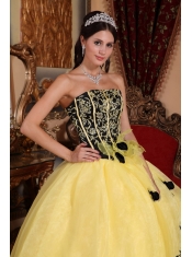 Yellow Ball Gown Strapless Floor-length Organza Embroidery Quinceanera Dress