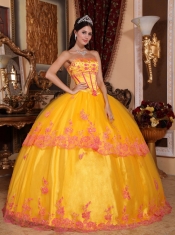 Yellow Ball Gown Strapless Floor-length Organza Lace Appliques Quinceanera Dress