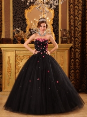 Black Ball Gown Strapless Floor-length Tulle Appliques Quinceanera Dress
