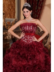 Burgundy Ball Gown Strapless Floor-length Organza Appliques Quinceanera Dress