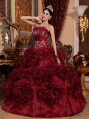 Burgundy Ball Gown Strapless Floor-length Organza Appliques Quinceanera Dress