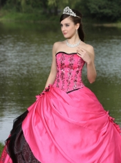 Quinceanera Dress Hot Pink Hand Made Flowers With Embroidery