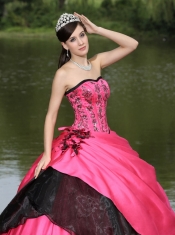 Quinceanera Dress Hot Pink Hand Made Flowers With Embroidery