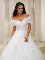 Quinceanera Dress Ball Gown and Off The Shoulder Appliques Customize For Church