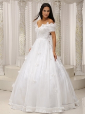 Quinceanera Dress Ball Gown and Off The Shoulder Appliques Customize For Church