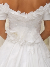 Quinceanera Dress Ball Gown and Off The Shoulder Appliques Customize For Church