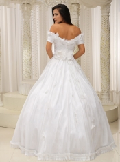 Quinceanera Dress Ball Gown and Off The Shoulder Appliques Customize For Church