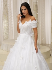 Quinceanera Dress Ball Gown and Off The Shoulder Appliques Customize For Church