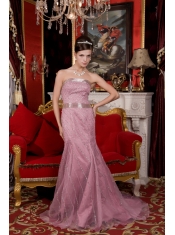 Prom / Evening Dress Light Pink Mermaid Strapless Brush Train Organza Beading