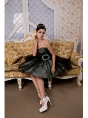 Prom / Homecoming Dress Black A-line / Pricess Sweetheart Mini-length Tulle Hand Made Flower