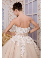 Prom Dress Beautiful A-line Strapless Ankle-length Tulle Appliques