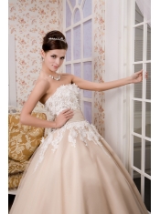 Prom Dress Beautiful A-line Strapless Ankle-length Tulle Appliques