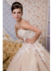 Prom Dress Beautiful A-line Strapless Ankle-length Tulle Appliques