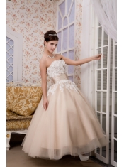 Prom Dress Beautiful A-line Strapless Ankle-length Tulle Appliques