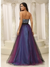 Prom Dress  Leopard Sweetheart and Belt  Colorful Tulle